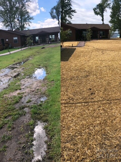 Lakefront yard restored after septic system installation